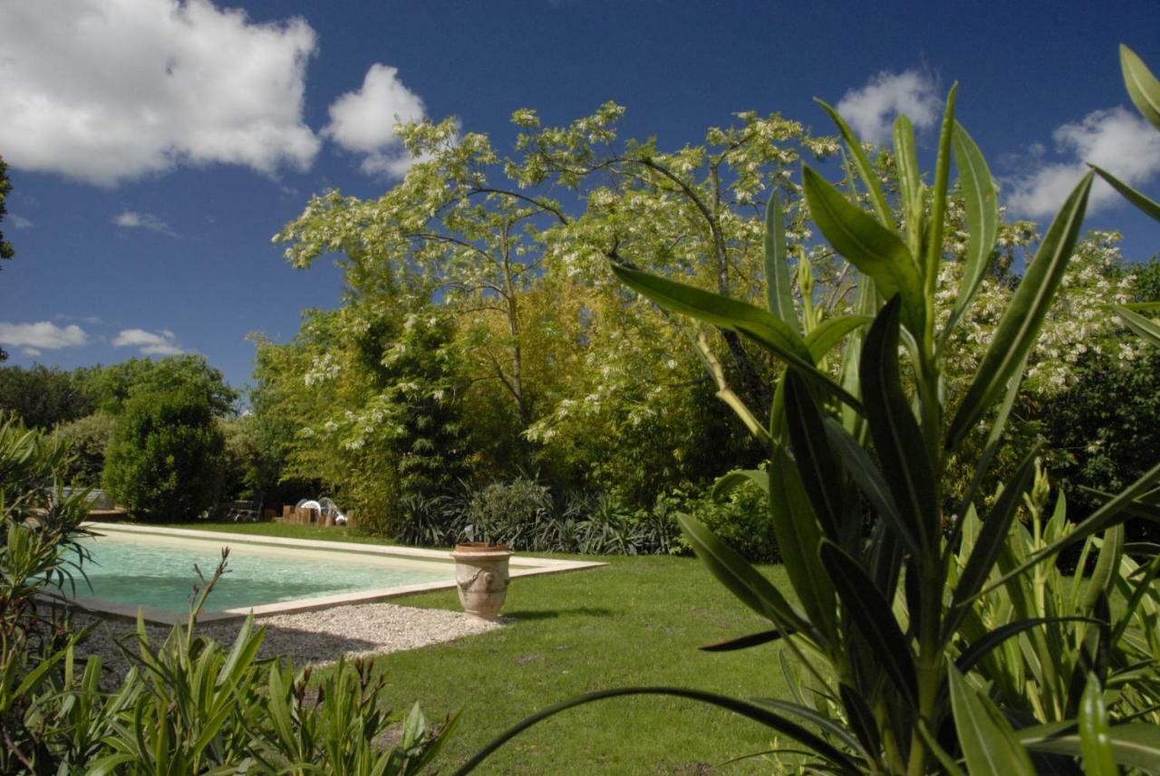 Bed and Breakfast Le Coing Des Vignes Mauressargues Esterno foto